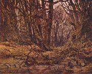 Caspar David Friedrich Wald im Spatherbst oil